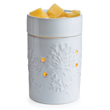 Charger l'image dans la galerie, African Lily Illumination