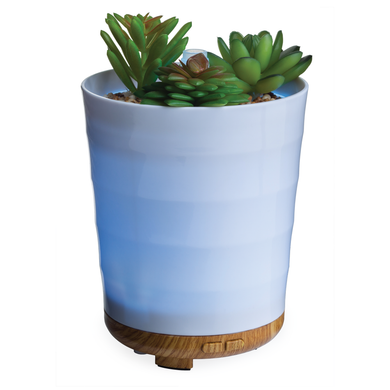 Potted Succulent Medium Diffuser